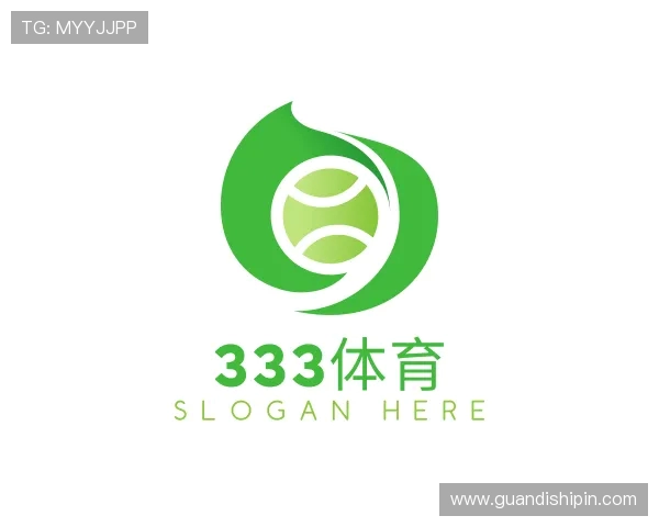 关于333体育